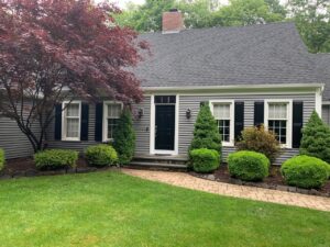 Small home with gray vinyl siding and black shutters, with sculpted bushes in front.