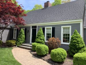 House with grey vinyl siding and sidewalk to front door