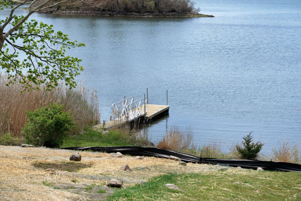 Boat dock extending from grassy land out into a lake