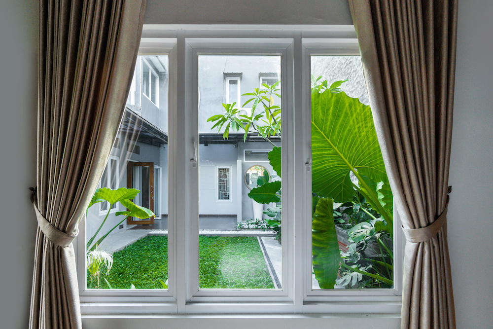 Large three pane window looking on summer backyard with tropical garden